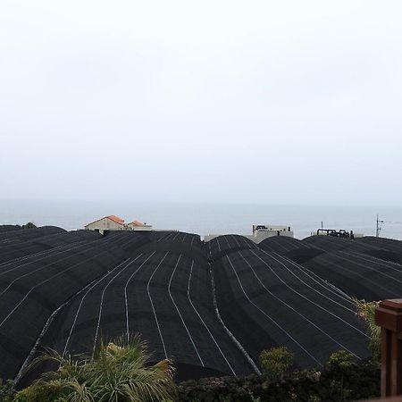 Haevichi Pension Seogwipo Exterior foto